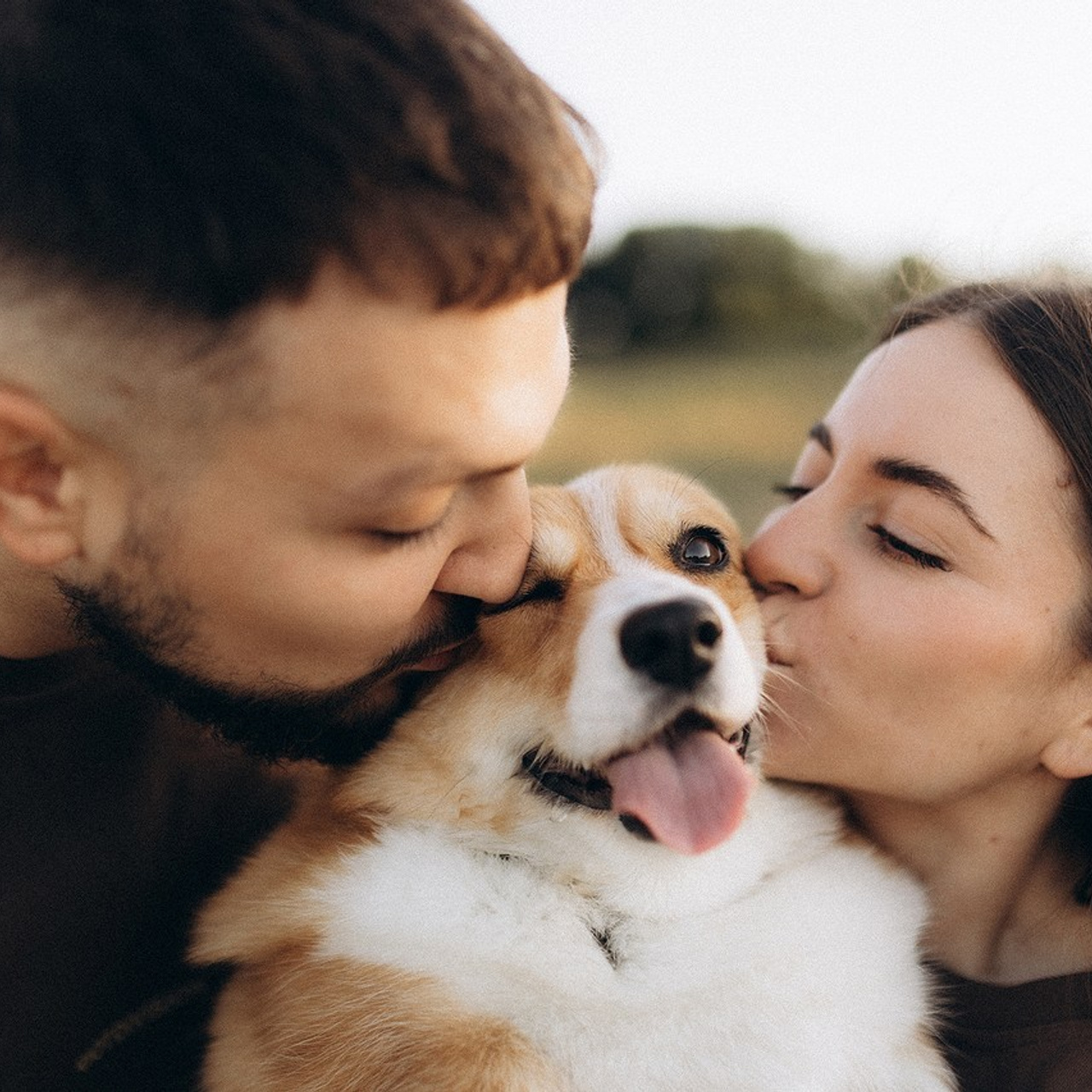Відгуки. Фотограф-анімаліст Київ