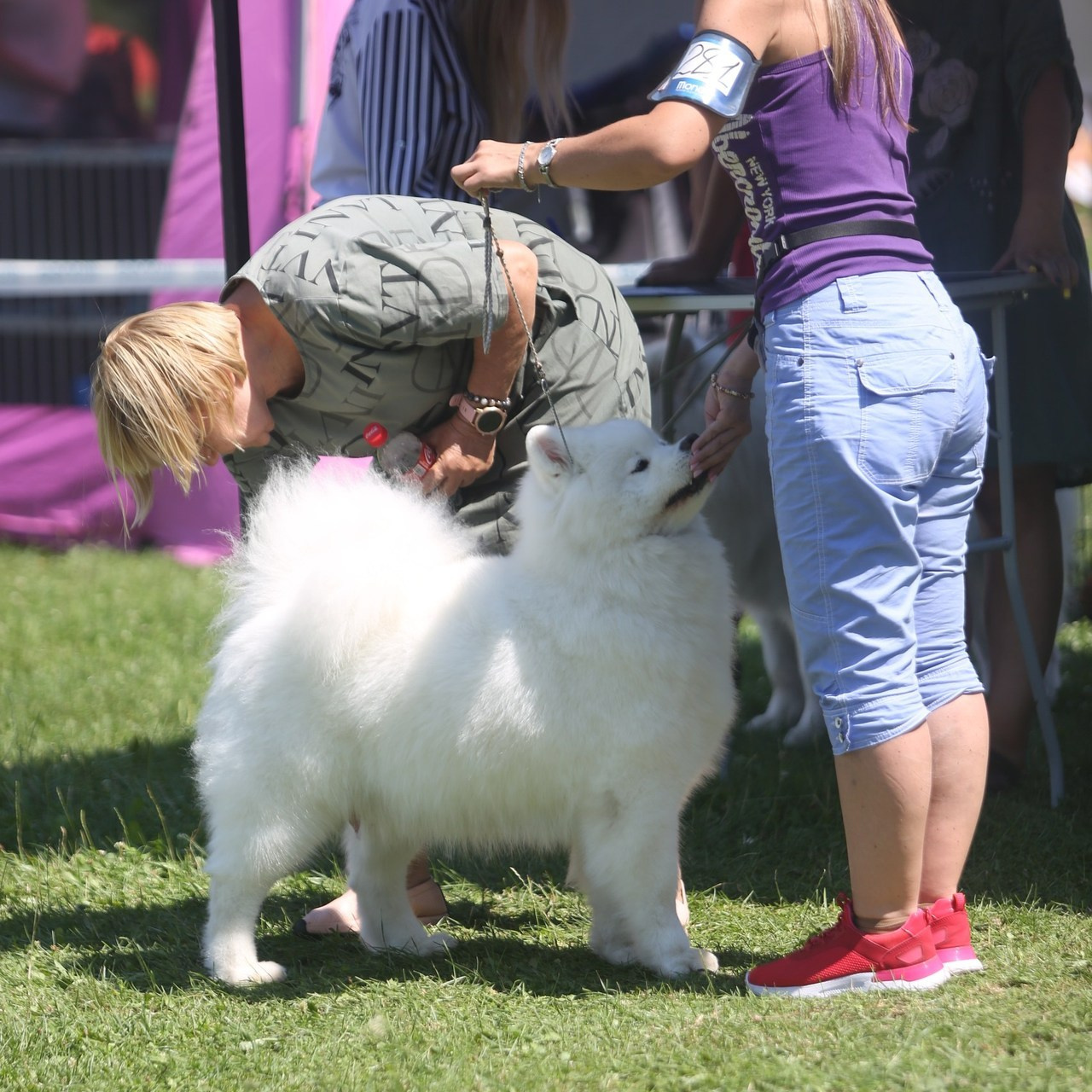 Reviews. Pets and people photographer Kateryna Mumzhynska