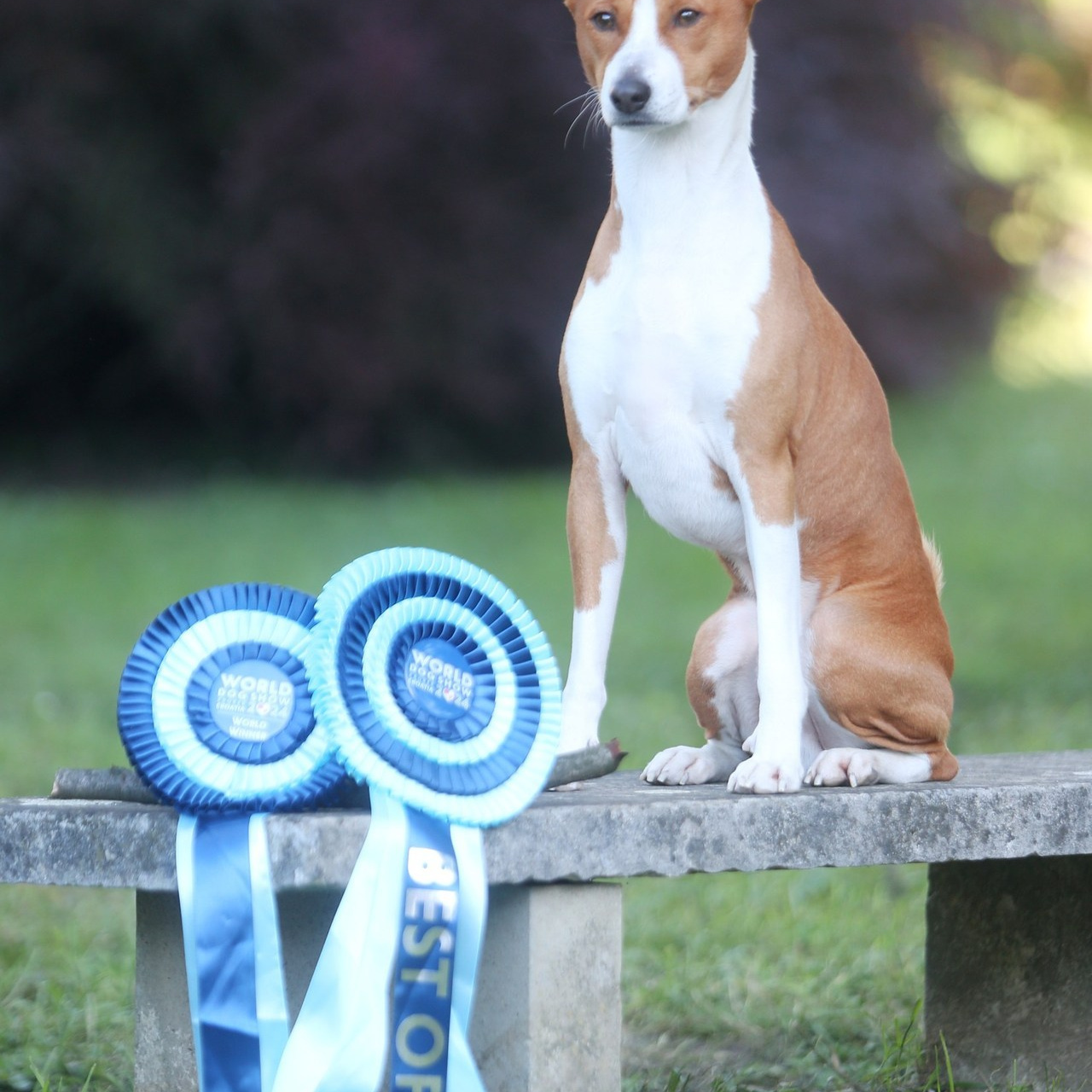 Reviews. Pets and people photographer Kateryna Mumzhynska