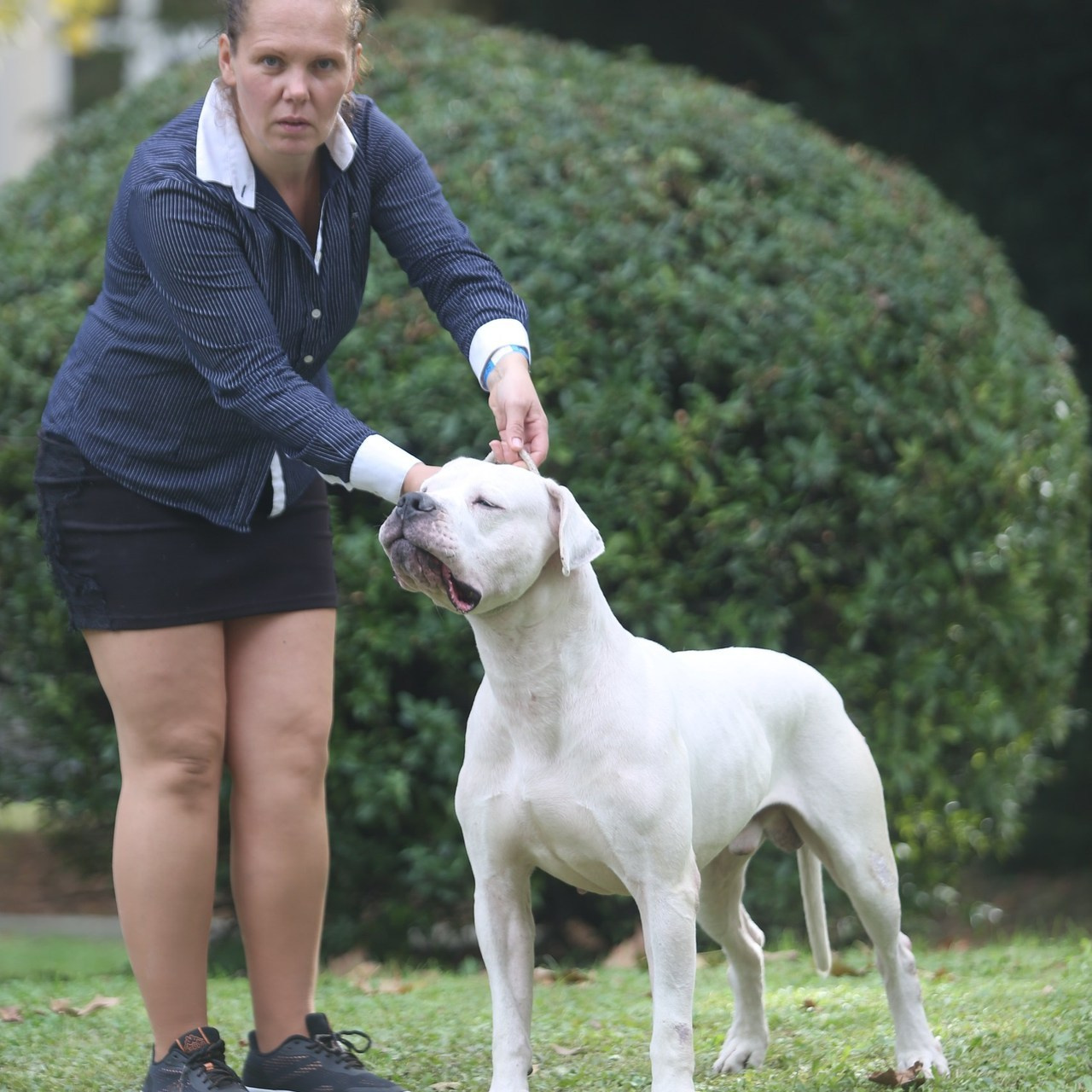 Reviews. Pets and people photographer Kateryna Mumzhynska