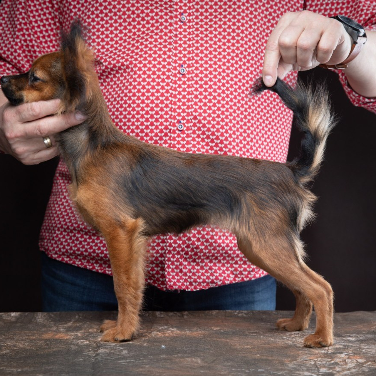 Reviews. Pets and people photographer Kateryna Mumzhynska