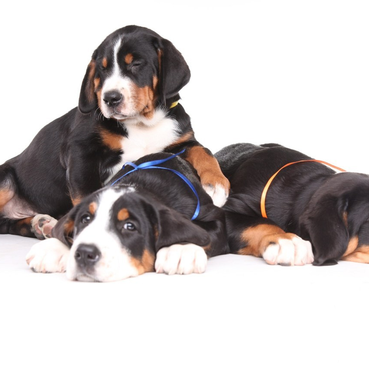 Отзывы. Фотограф Катерина Мумжинська