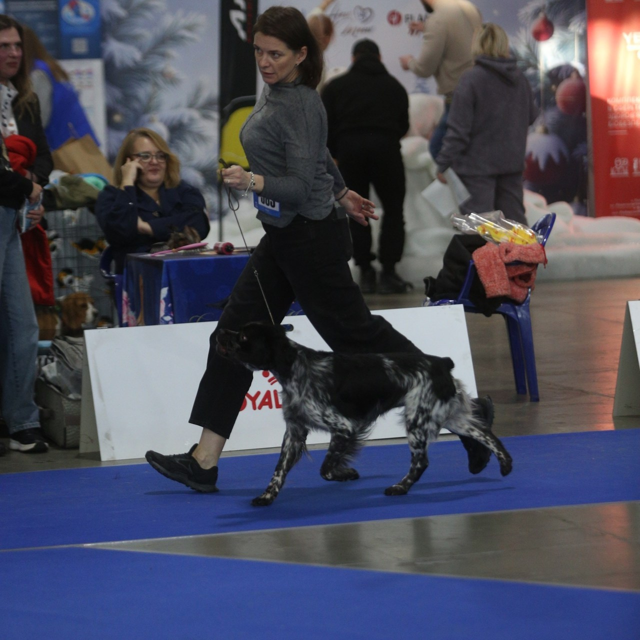 Reviews. Pets and people photographer Kateryna Mumzhynska