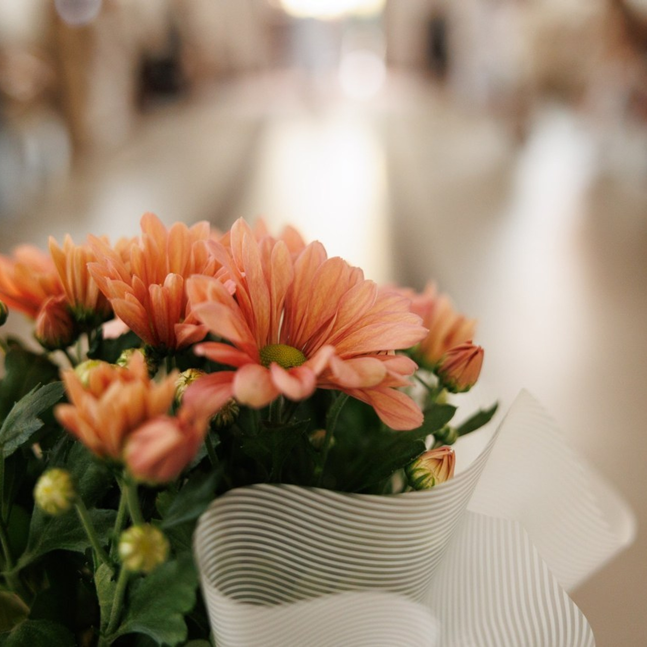 Feedback. Фотограф Тетяна Бродзяк