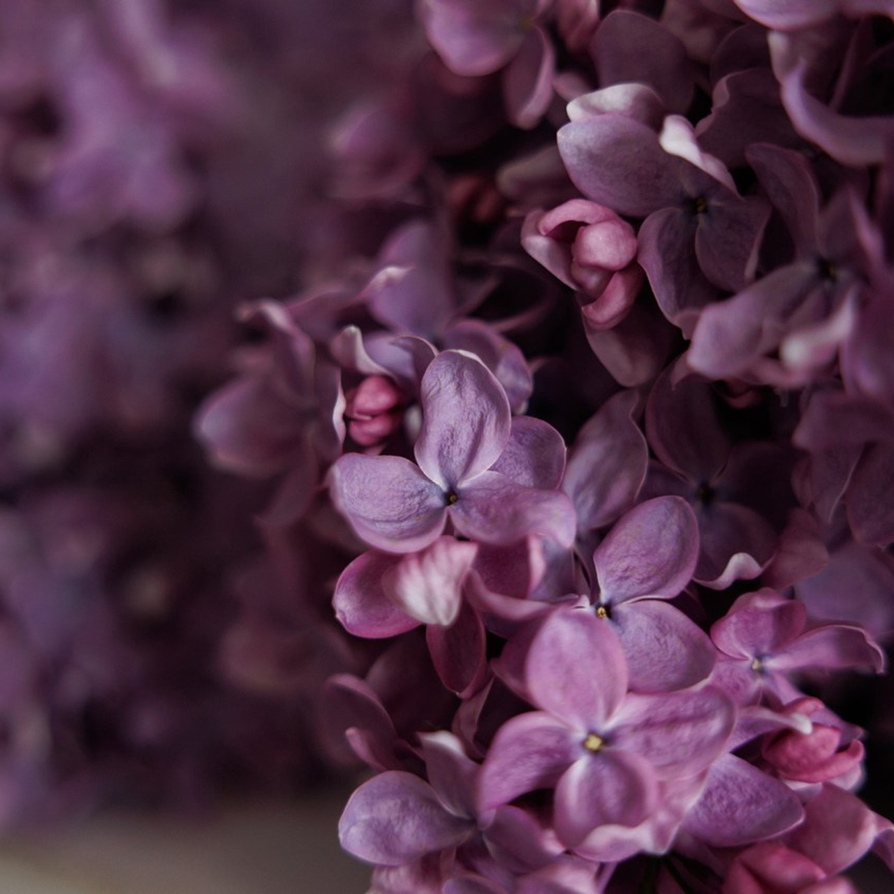 Feedback. Фотограф Тетяна Бродзяк