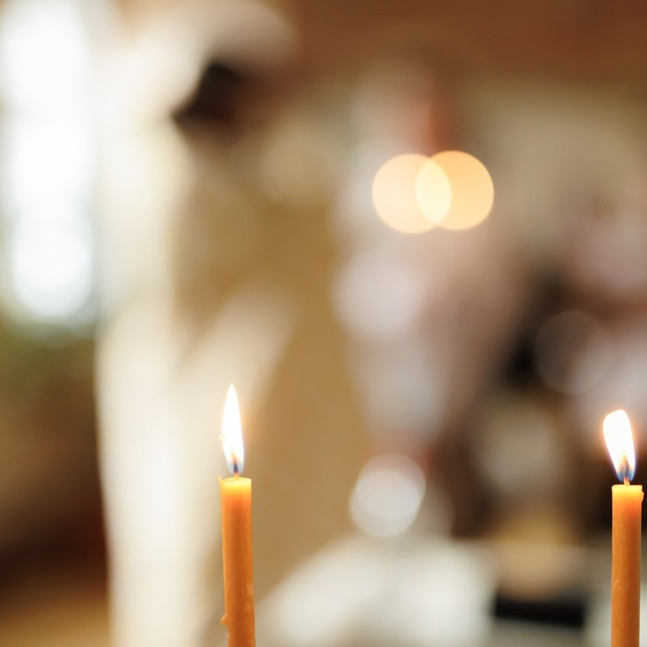 Feedback. Фотограф Тетяна Бродзяк