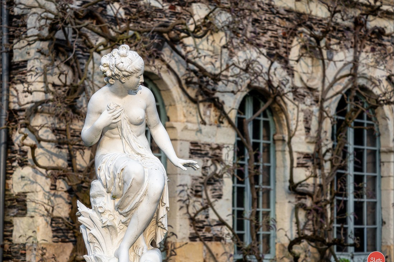 🇫🇷  Angers  🇫🇷  Expo canine  21-22/03/2026. Photographe à Strasbourg | Portraits, Studio, Enfants, Événements