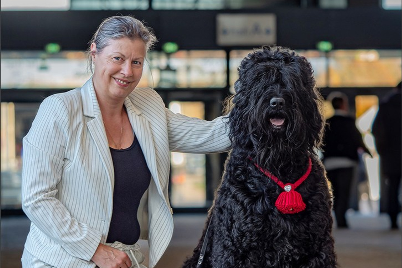 Dog Show WELS   🇦🇹  06-07/12/2025. Photographe à Strasbourg | Portraits, Studio, Enfants, Événements