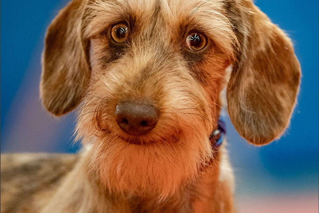 Photographe à Strasbourg | Portraits, Studio, Enfants, Événements