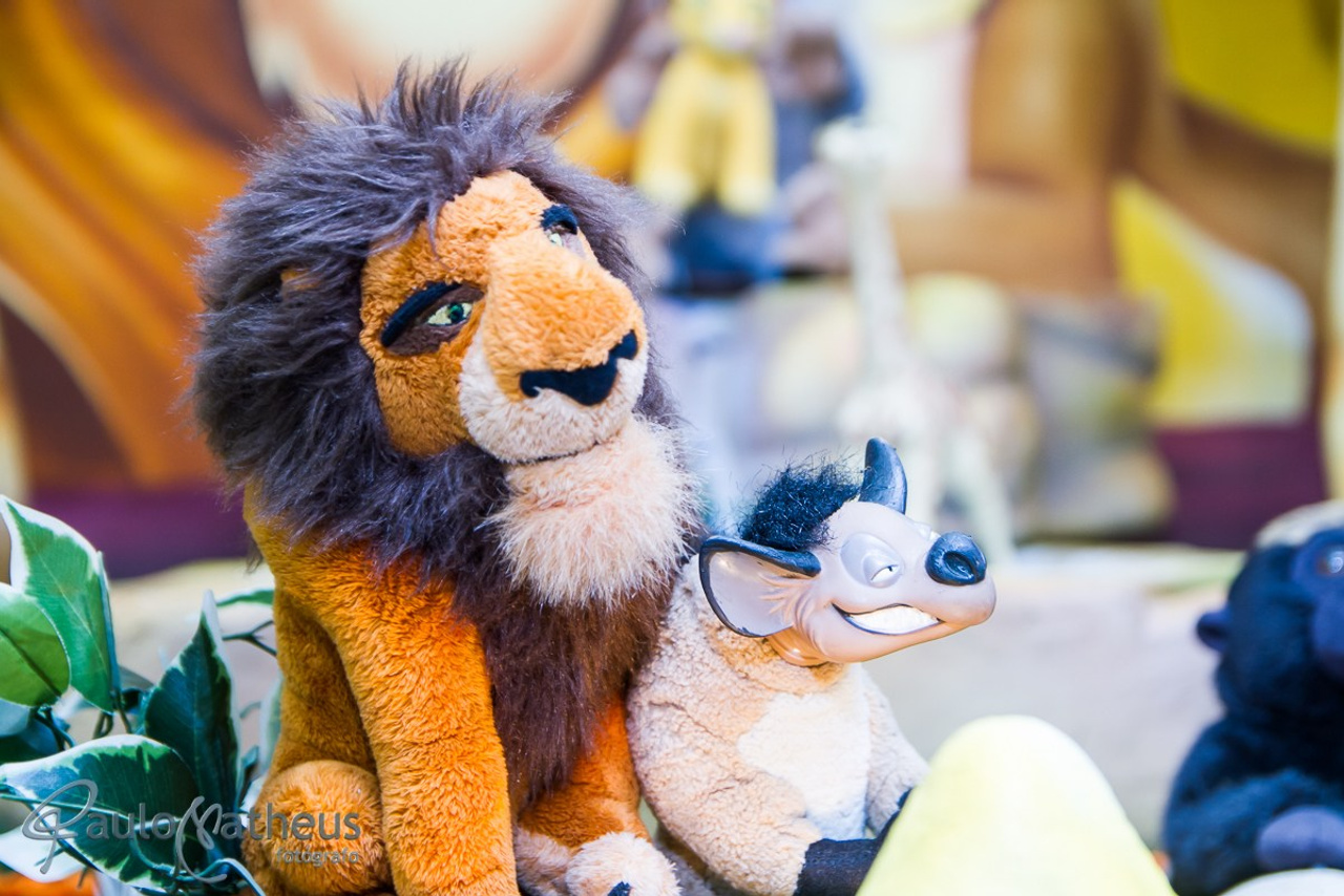 Fotografia de Festa Infantil. Fotógrafo Social e Corporativo em São Paulo/SP