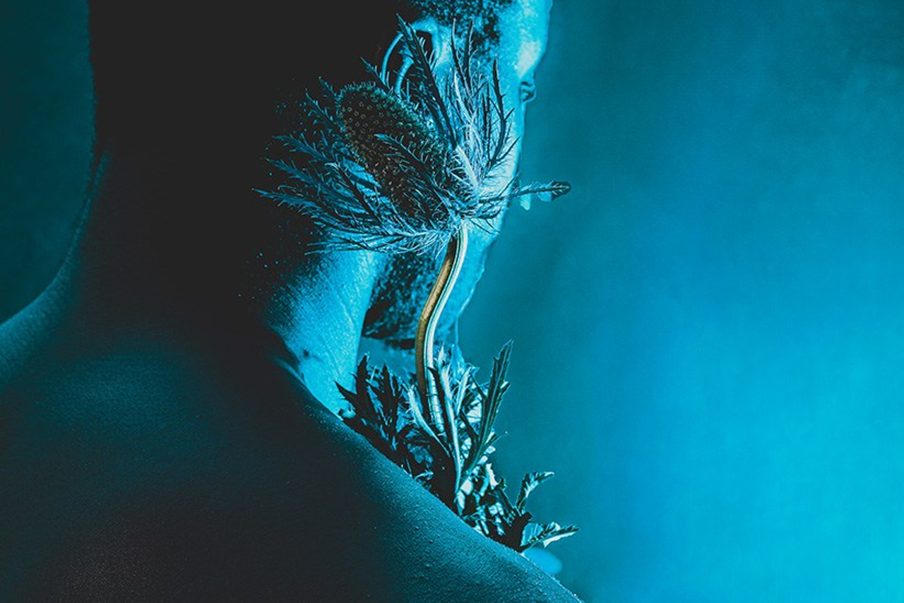 Tre Magiska Veckor med Porträttfotografering: Min Resa i Fia Kvissbergs Ateljé