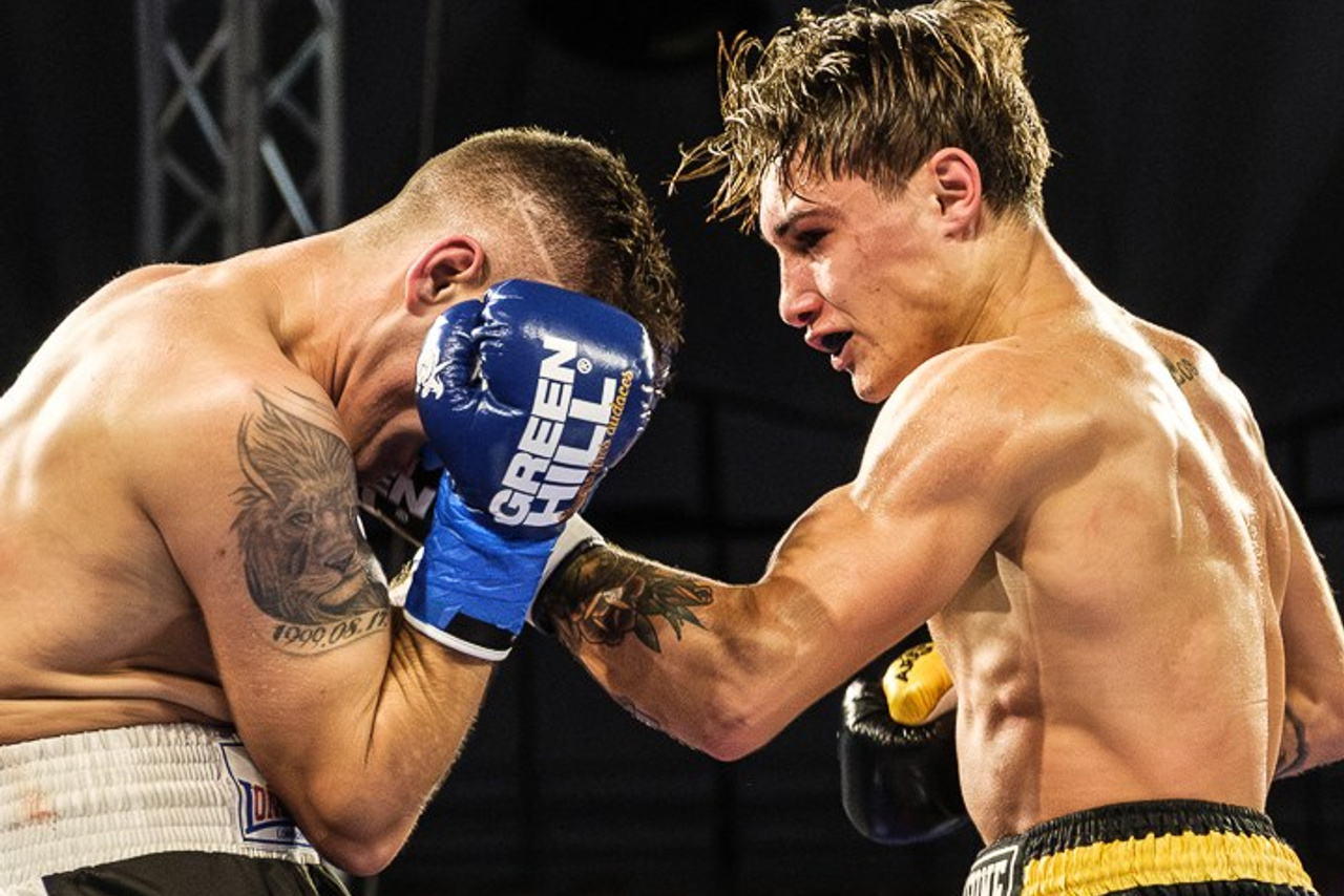 Boxe - TAF The Art Of&nbsp;Fighting