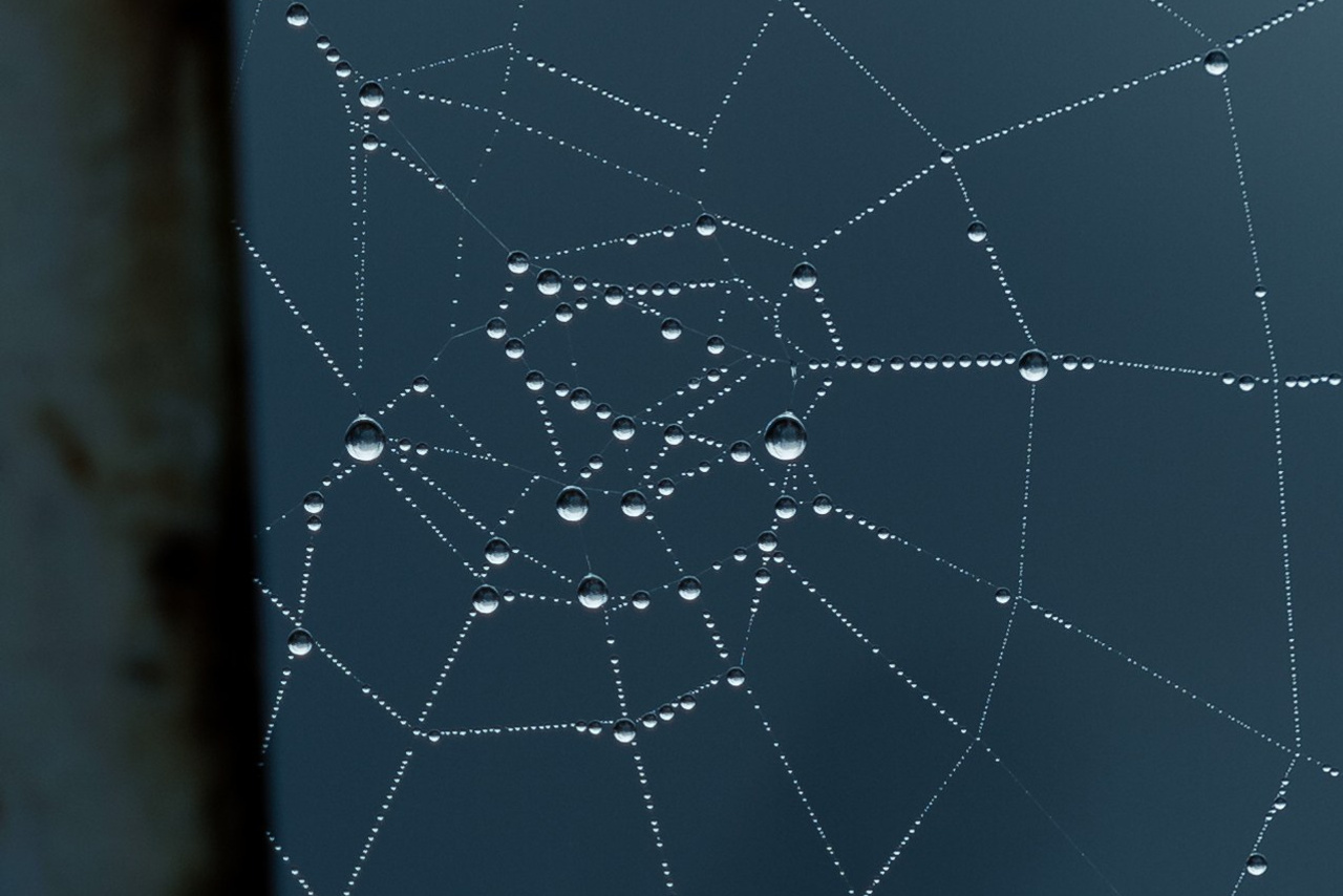 Blog cu si despre fotografii