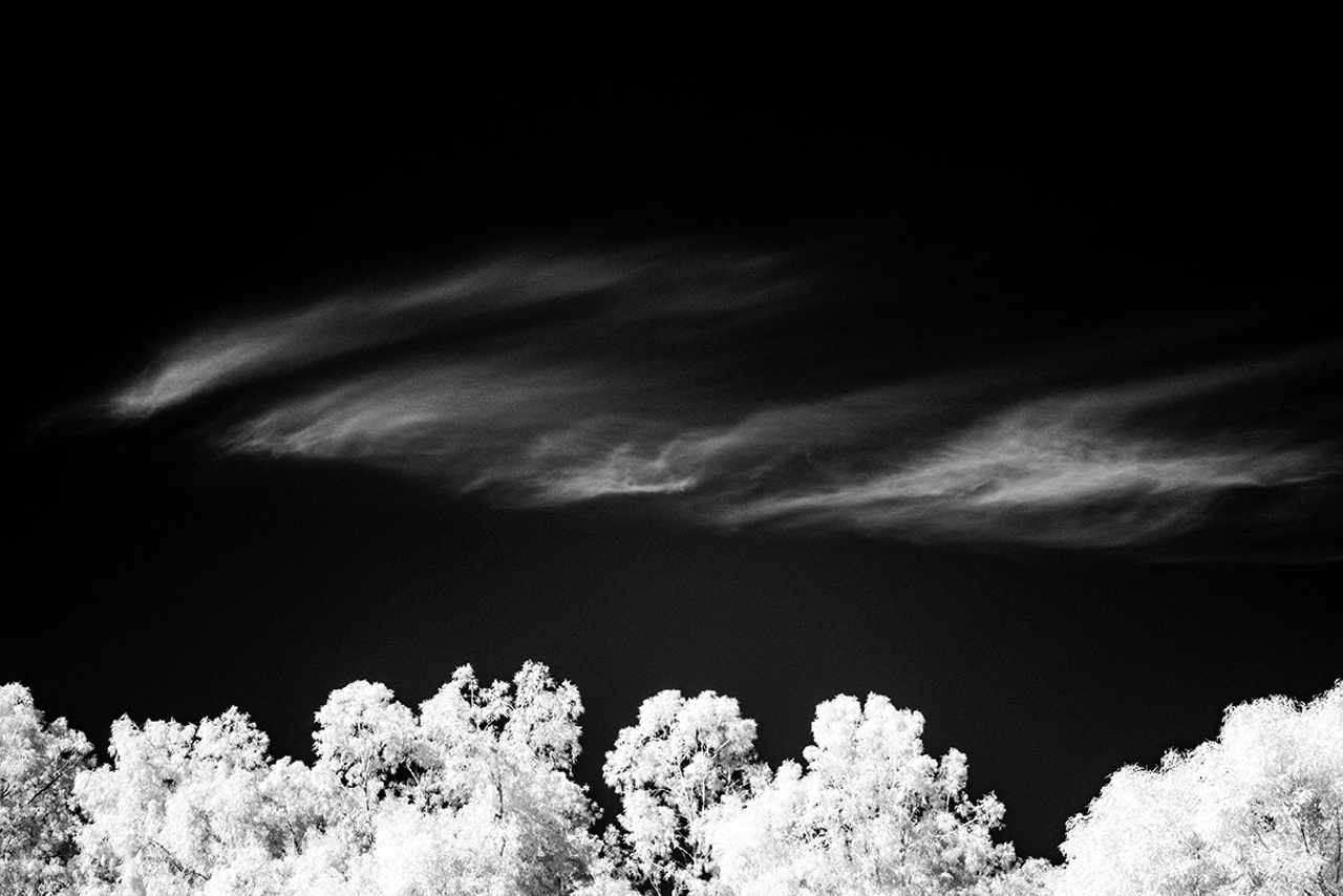 Отпечатки света