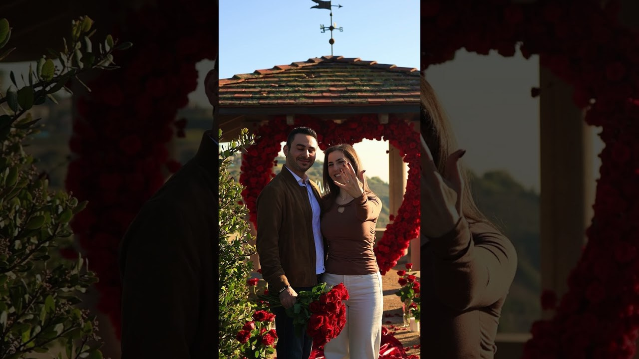 Gallery. The Yes Agency — Proposal from her dreams