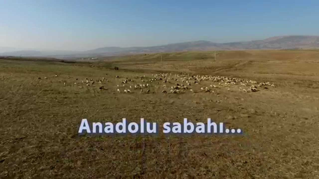 JourneyUP Visuals In Motion. JourneyUP Visuals