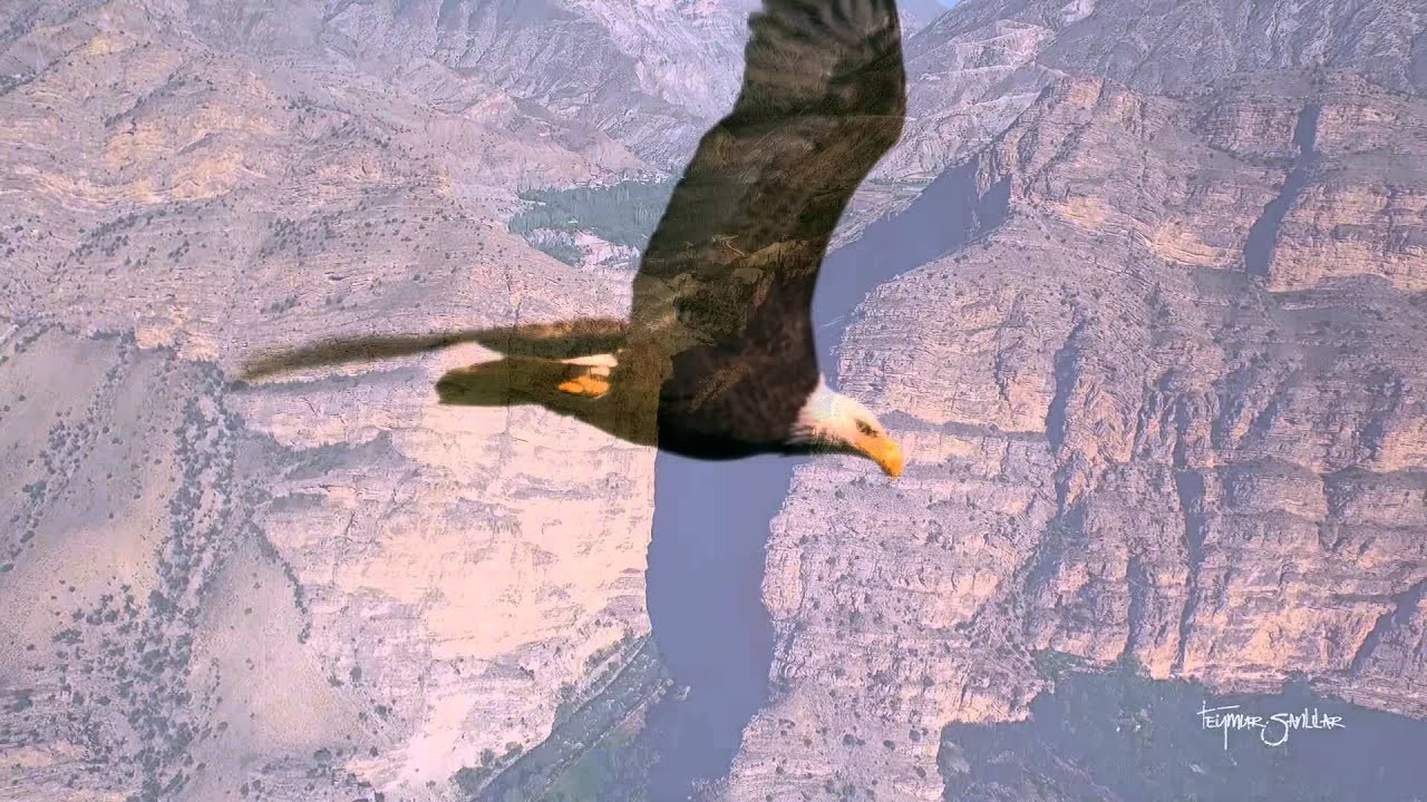 JourneyUP Visuals In Motion. JourneyUP Visuals