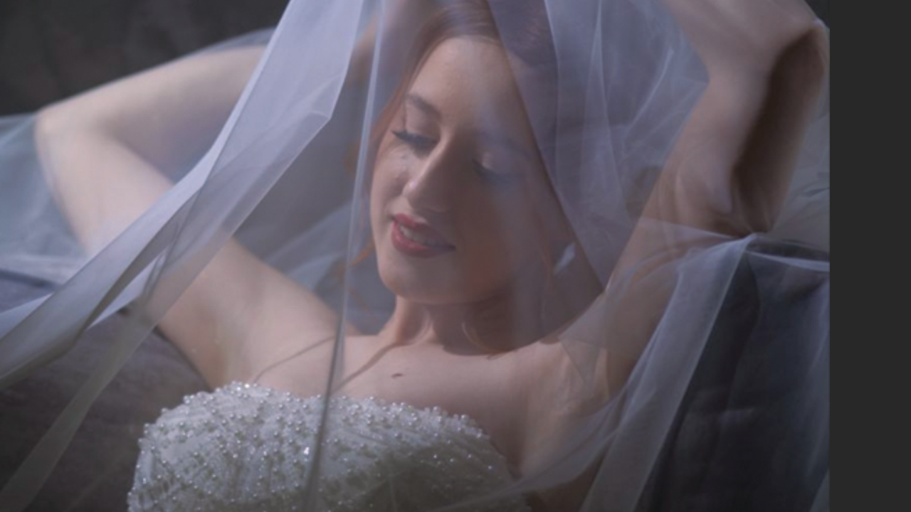 Wedding Highlights