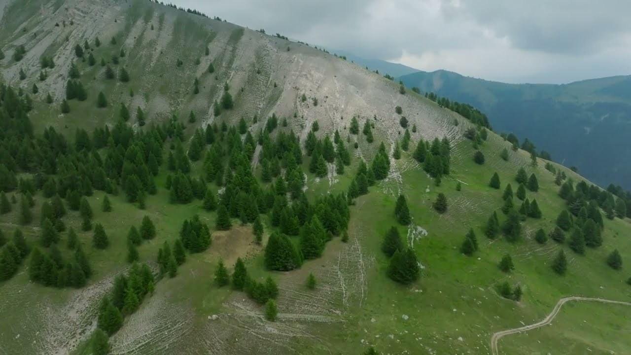 Видео с дрона. Семейный и детский фотограф на Лазурном Берегу
