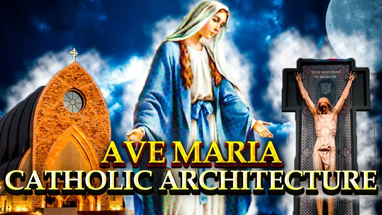 Видео Портфолио