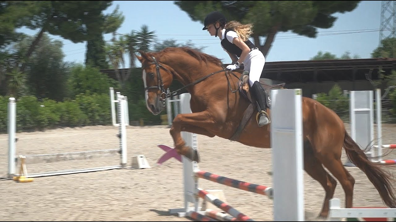 Видео Портфолио