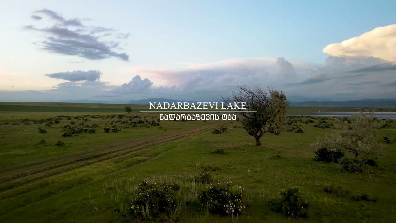 Video. Photographer in Tbilisi