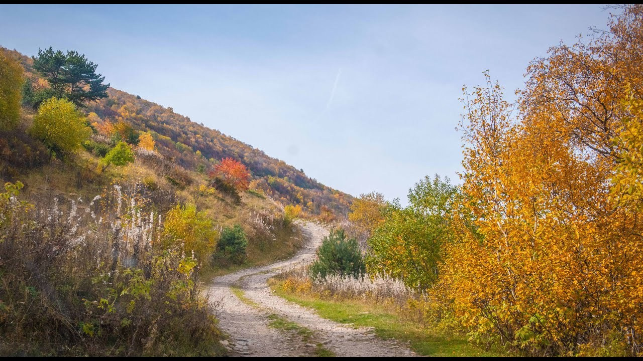 Video. Photographer in Tbilisi