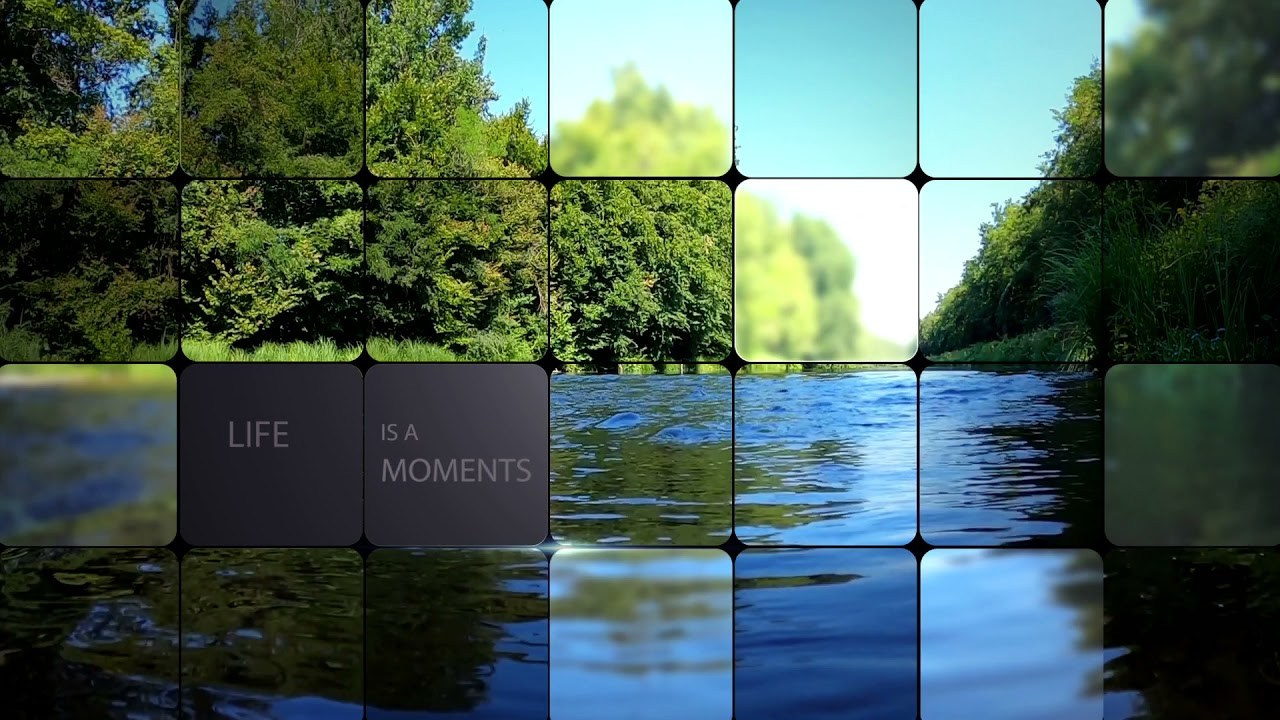 Видео. Главная