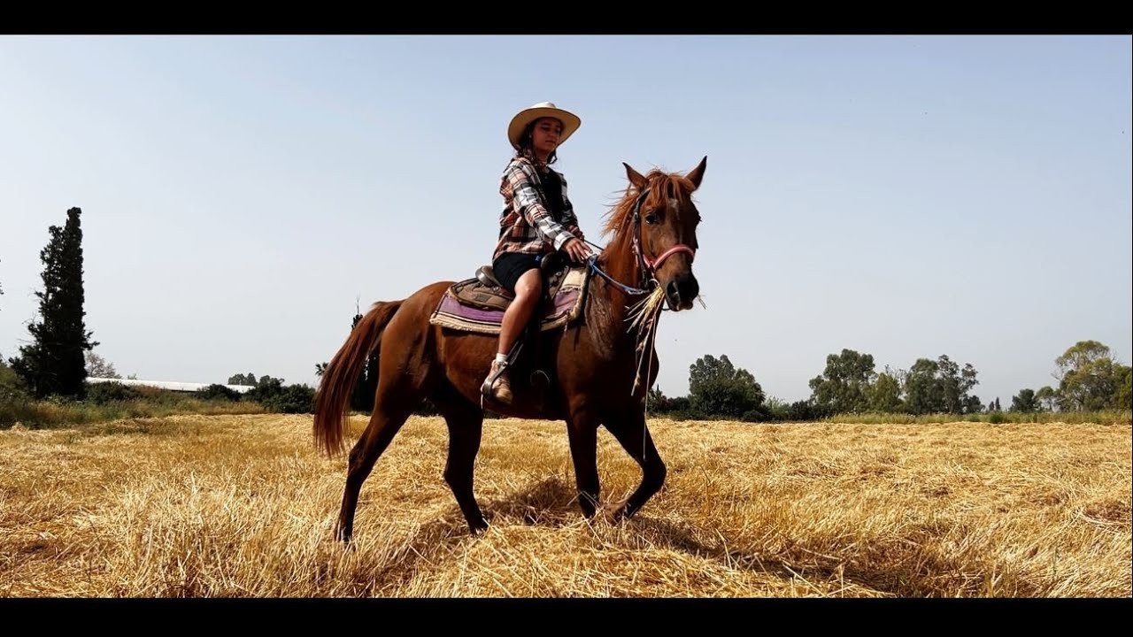Илана и Гром. Фотограф. Визуал. Хайфа. Талья Цветкова