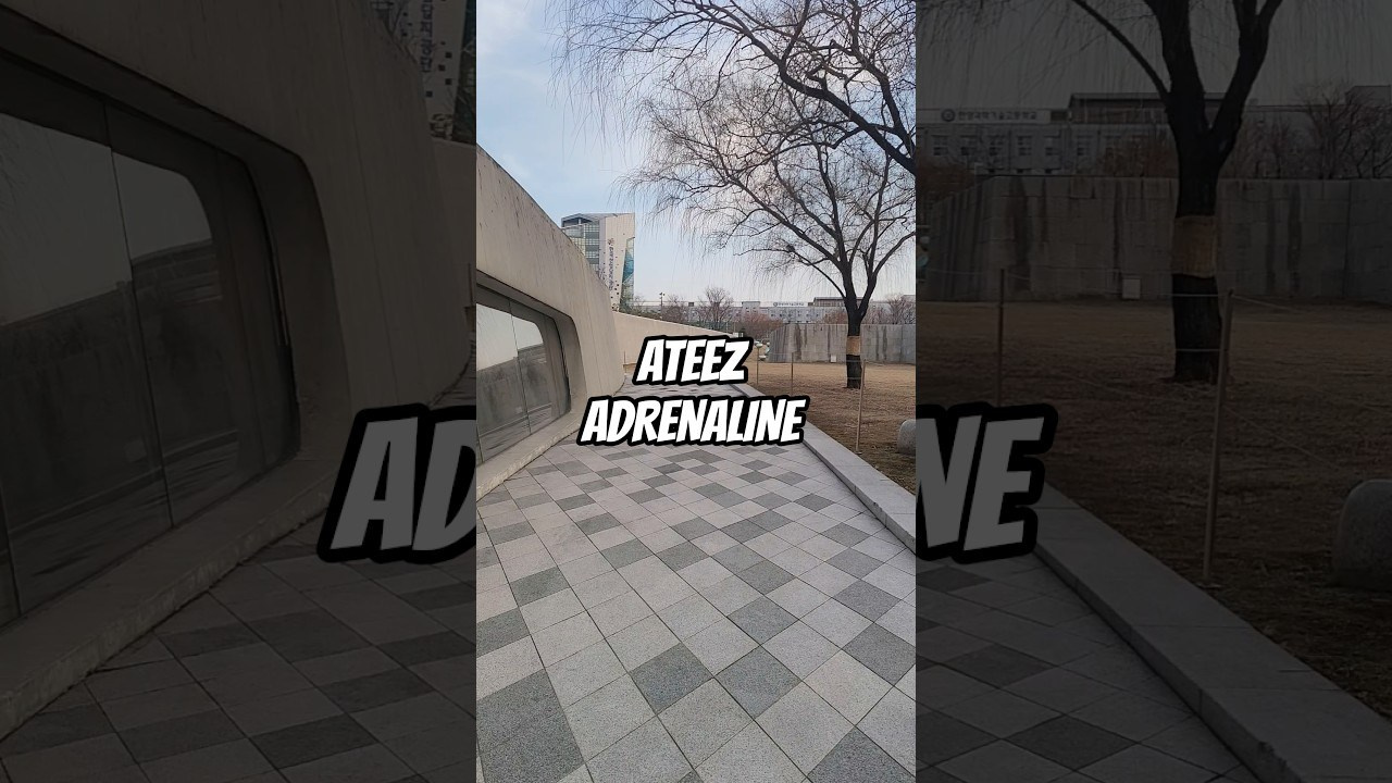 DANCE PORTFOLIO. Photographer in Seoul Dobrokvashina Natalya