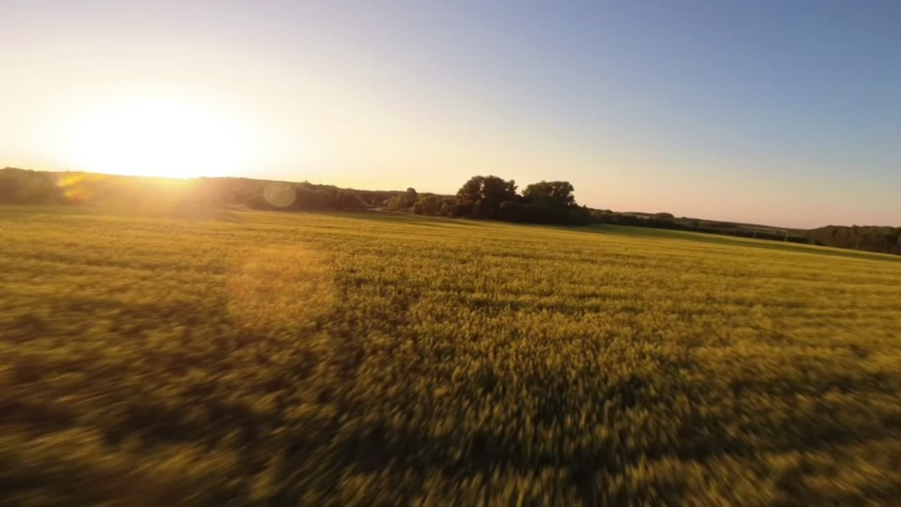 Videos. Brahim Photographer