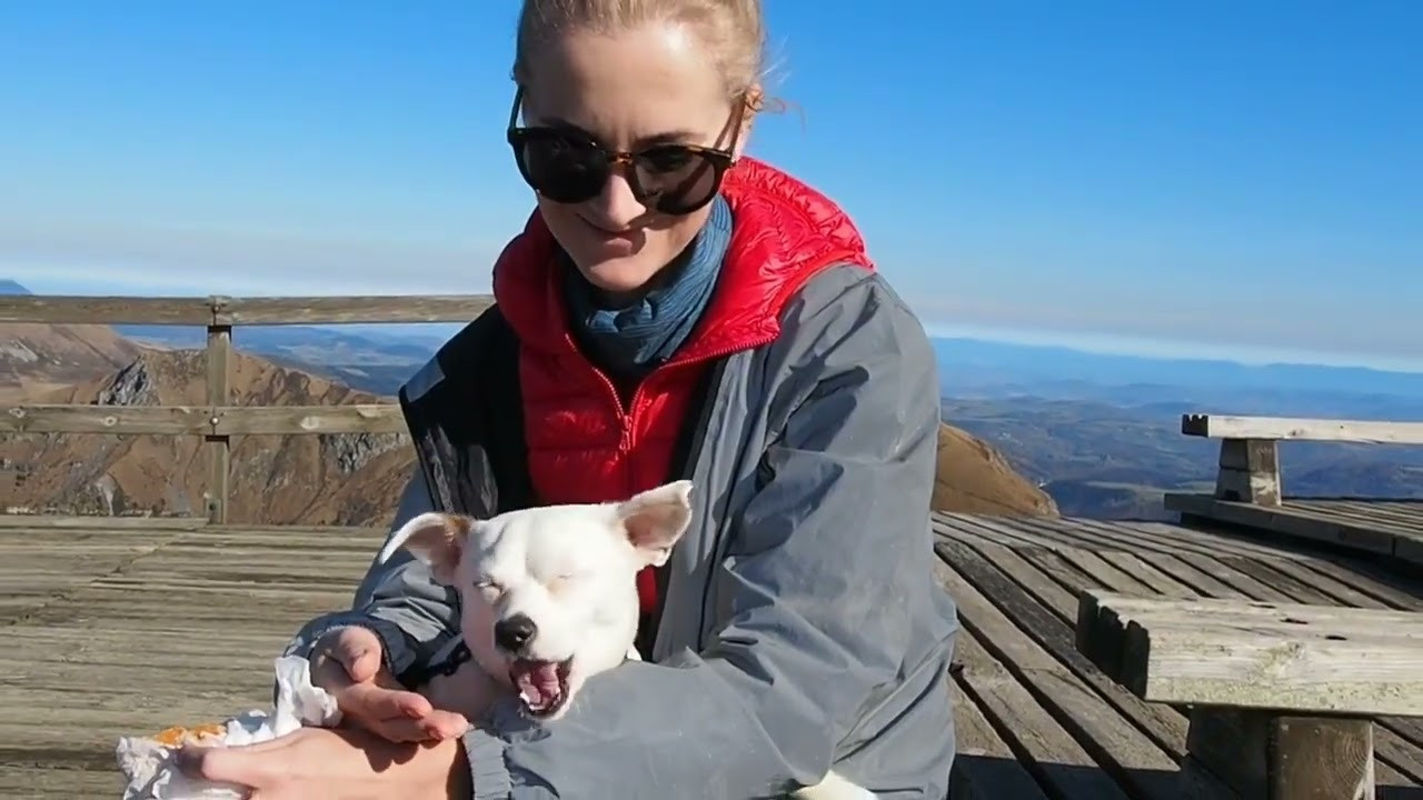 Travel video. Vidéo à Paris