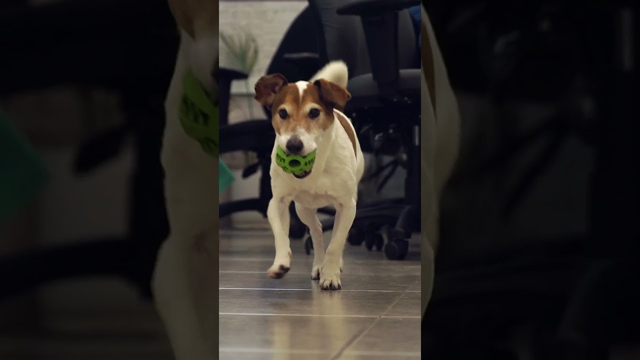 Marketing Agency. Ellstudio film production