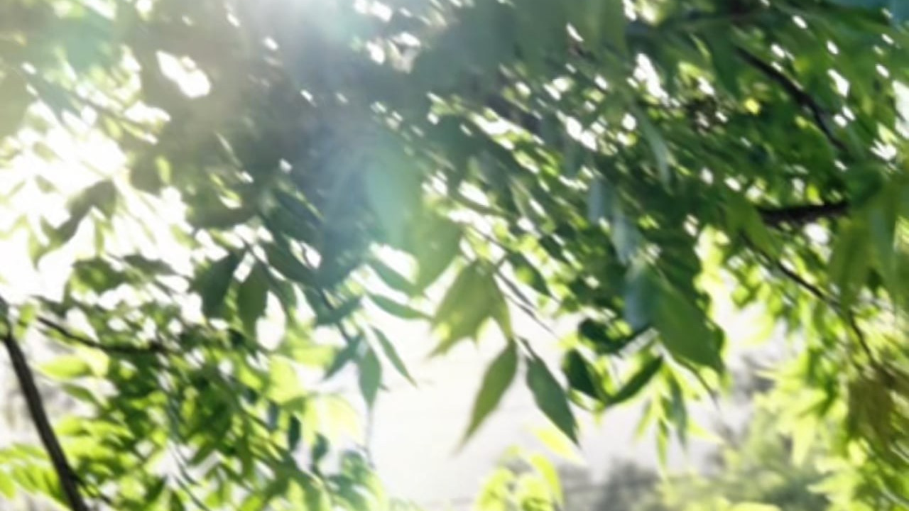 Events (video). Fashion Photographer & Videographer in New York | Arina Rozova