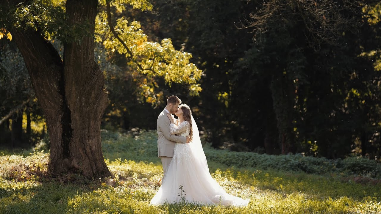 Портфоліо. Unlimited Film