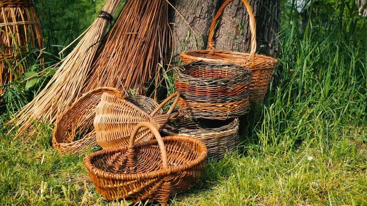 Short films and music video. Artist, photographer, graphic designer, dreamer