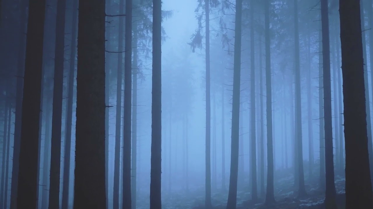 Short films and music video. Artist, photographer, graphic designer, dreamer