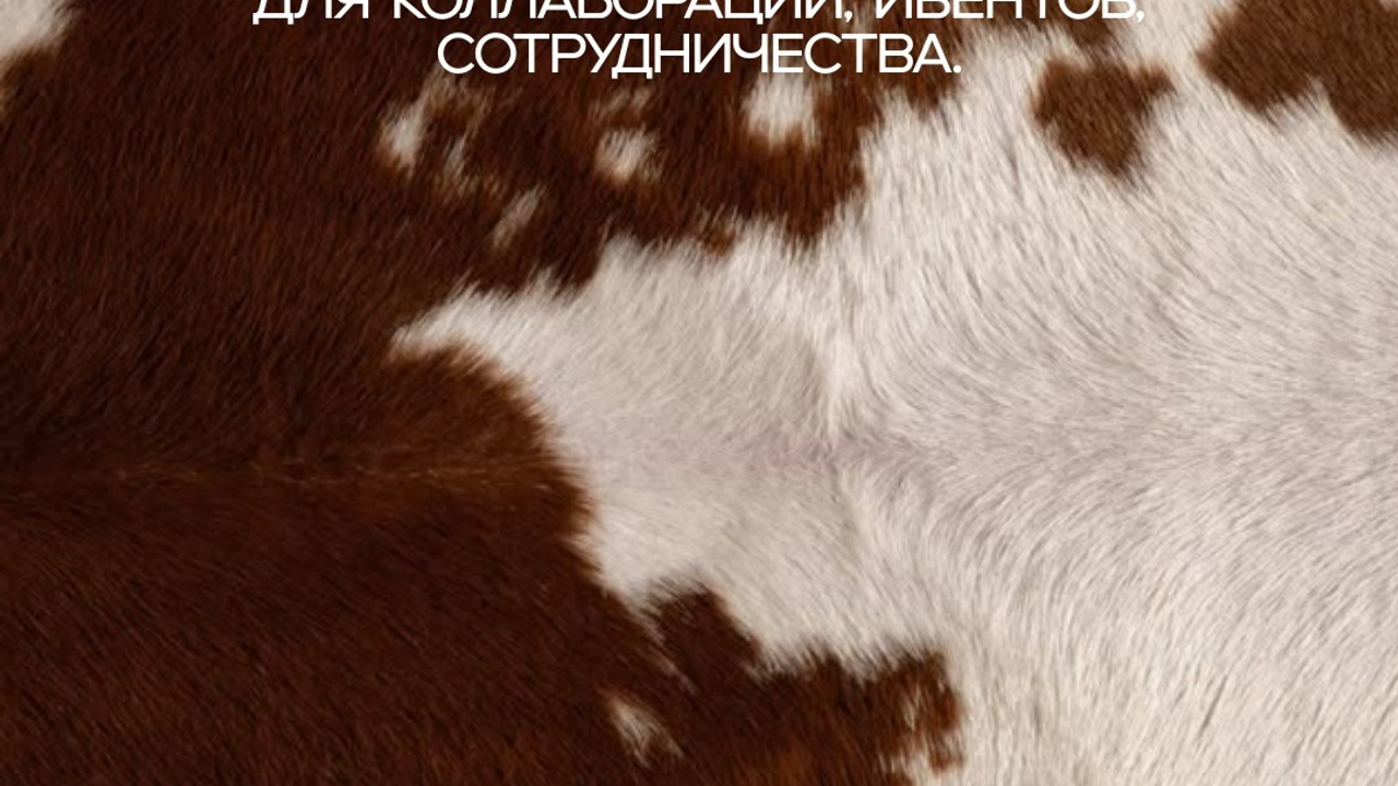 Marketing agency — Instagram stories 9×16. Nœrgie — (Event) design