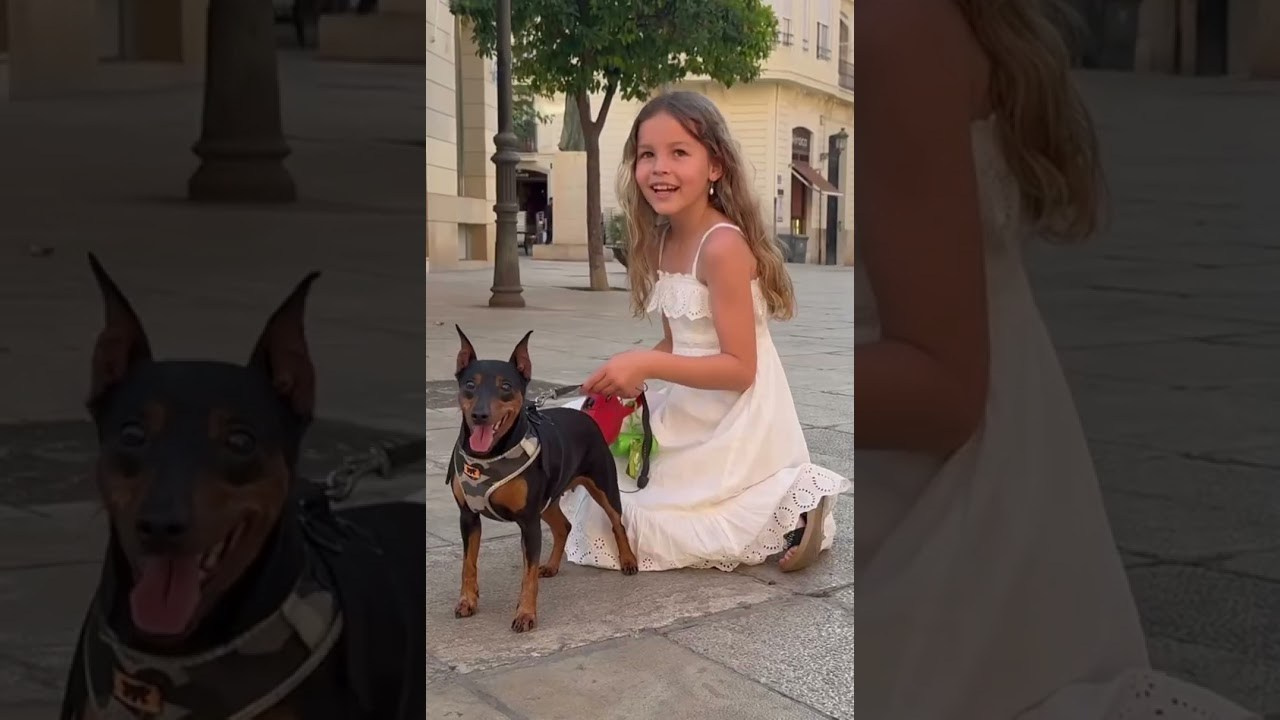 Family, Couple & Portrait Photoshoot Videos in Spain | Natural & Emotional Moments. Julia Gnatenko — Photographer Valencia, Alicante, Barcelona, Spain, Europe