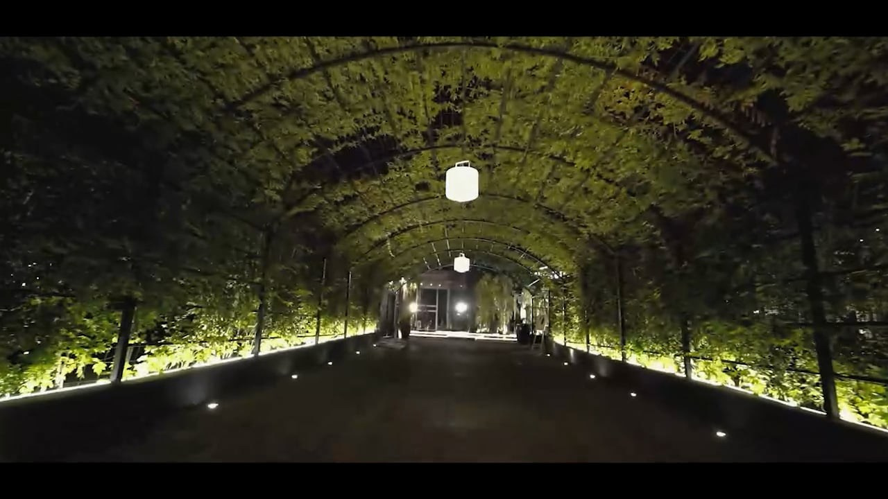 Tali & Yakov. Wedding and events photographers Studio Shalom