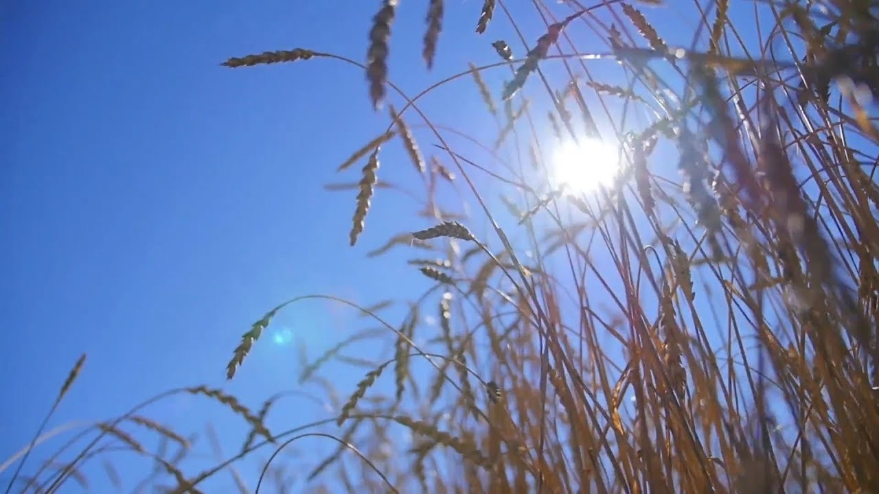 Konstantin Liskov. Ad and video production in Cancun. Commercials, cor