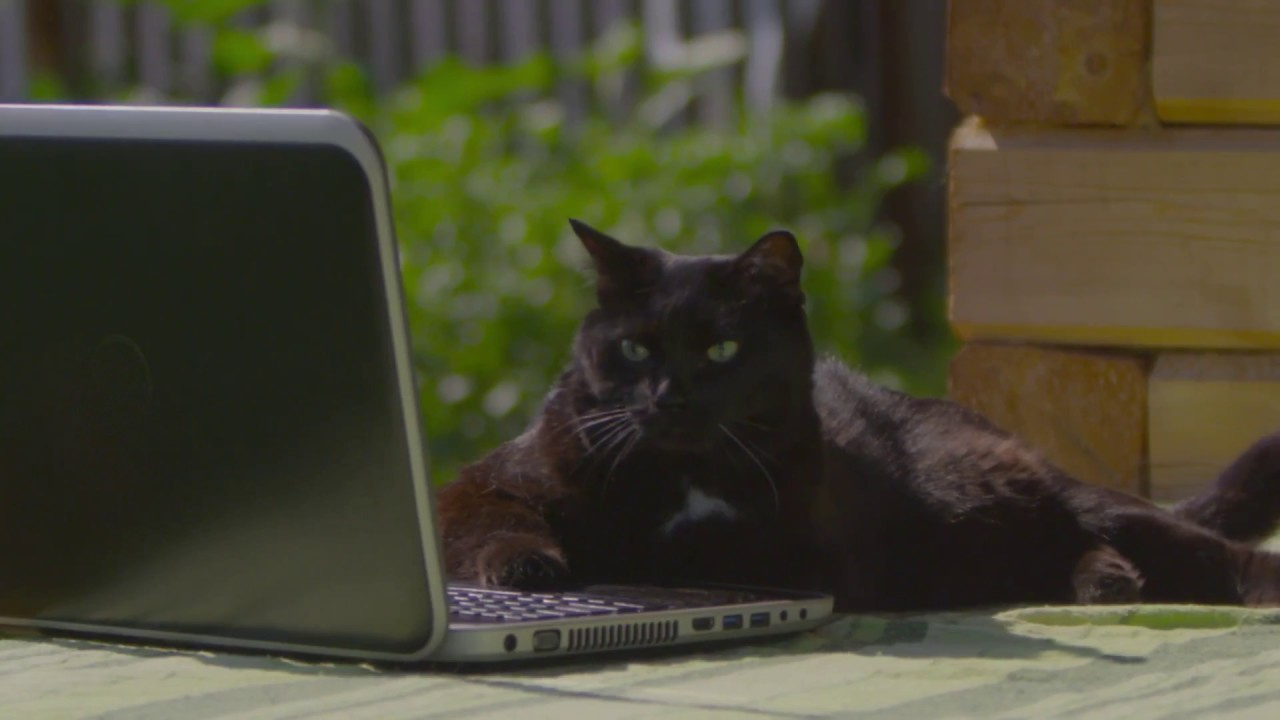 Konstantin Liskov. Ad and video production in Cancun. Commercials, cor