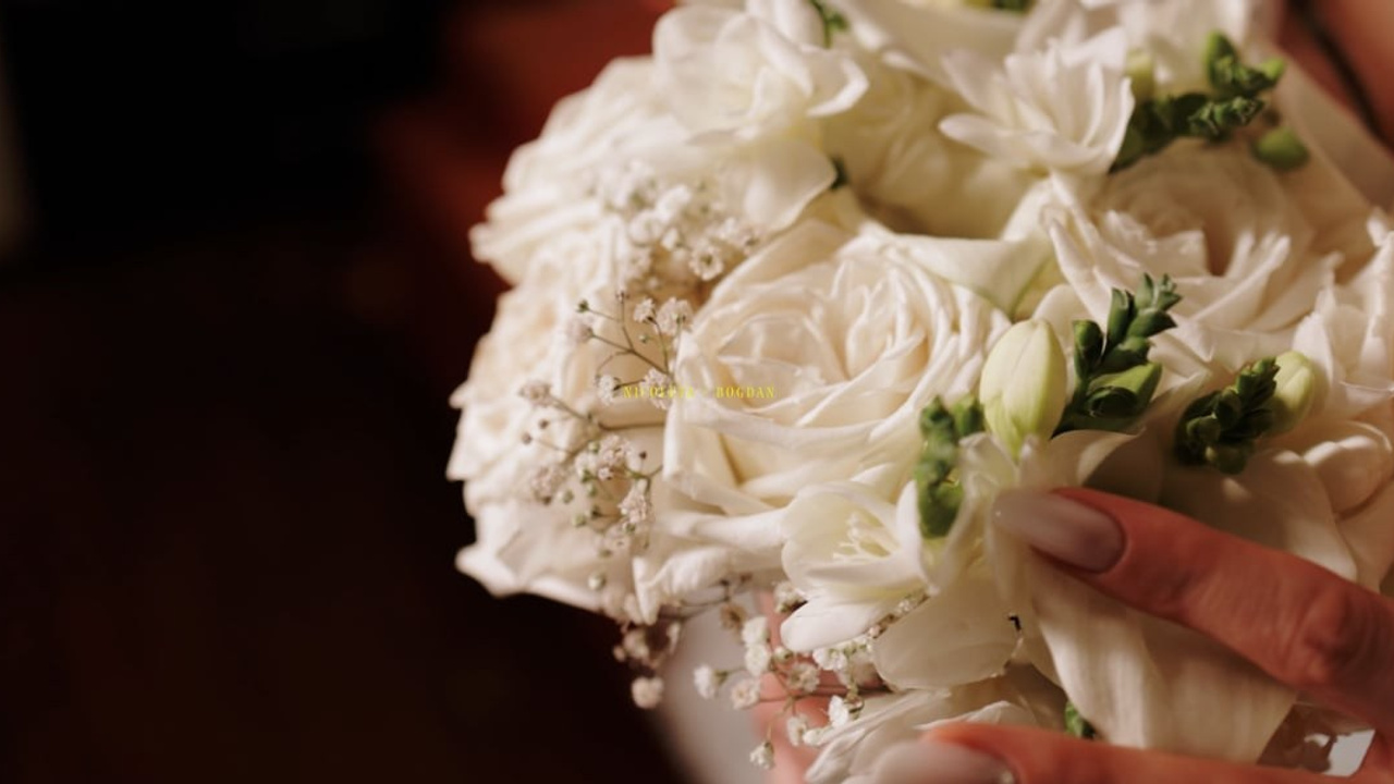 Teaser | Nicoleta+Bogdan. Bordeiionutfotograf