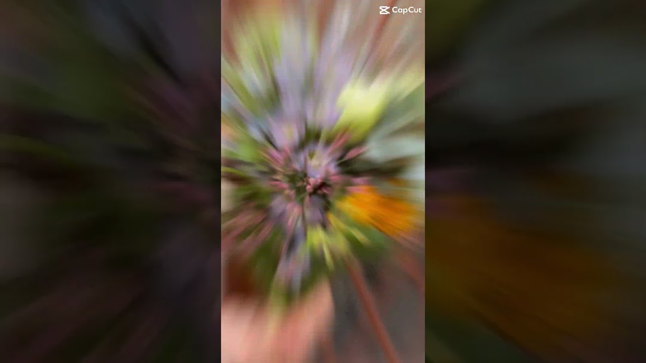 Brudebuketter i Aarhus. Akropolis Blomster | Din døgn blomsterbutik i Aarhus