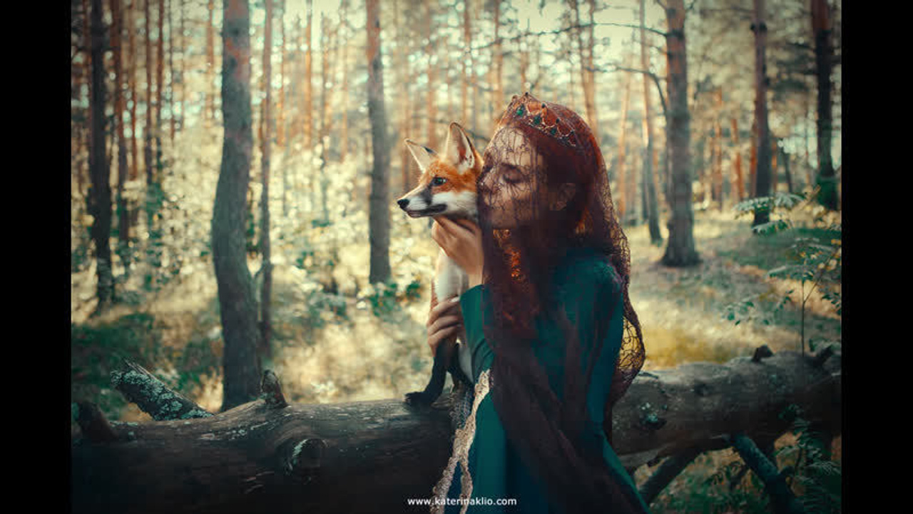 Fox. Fine Art & Portrait Photographer in Warsaw | Katerina Klio