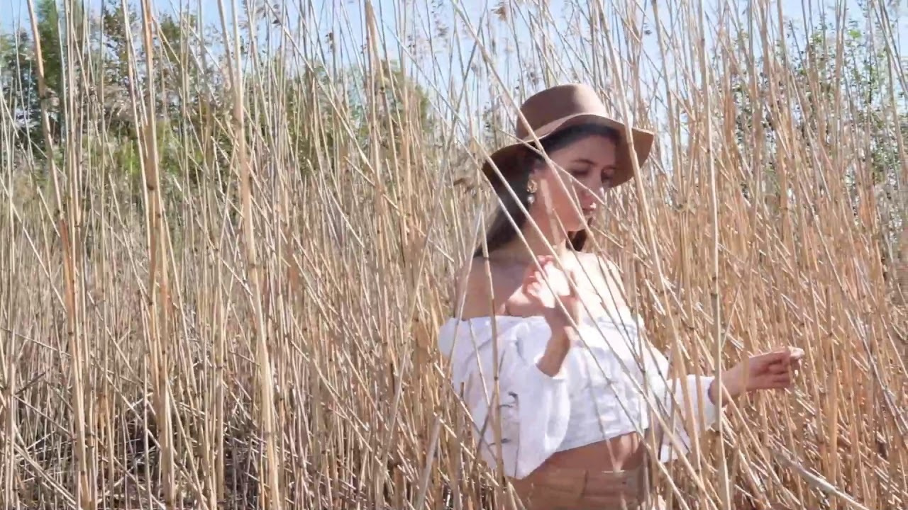 Создание видео для вашего бизнеса. Дмитрий Сущевский фотограф, видеомэйкер