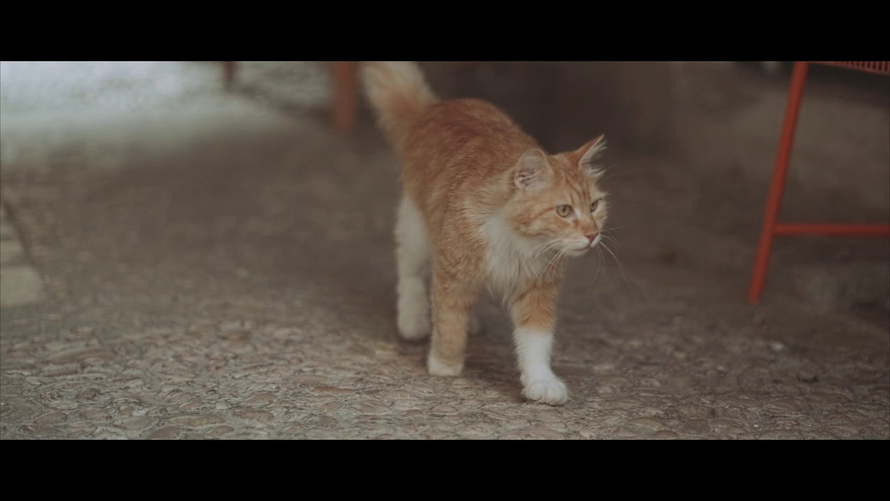 Travel. Profesionalna Fotografija i Videografija | Sarajevo | yasinemir.com