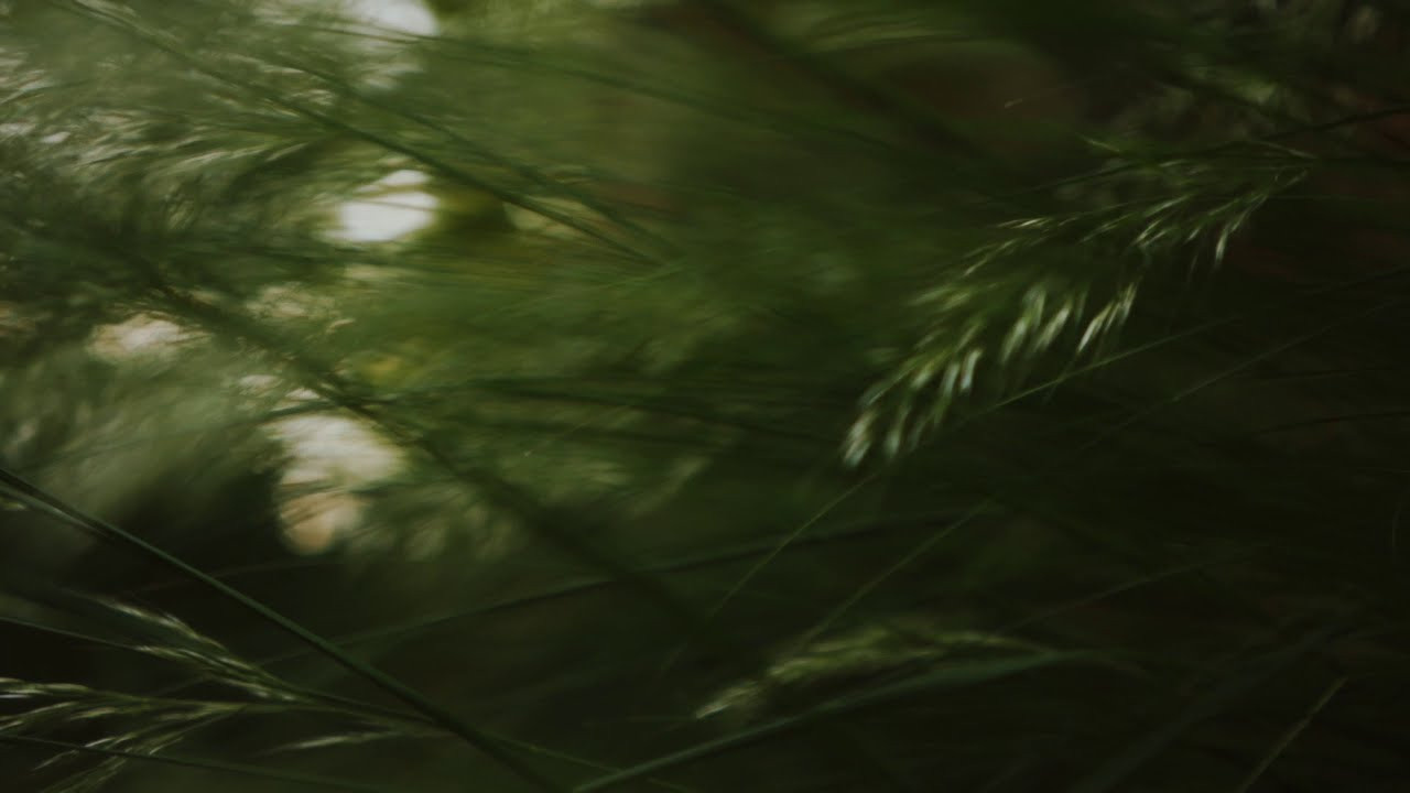 Personal. Profesionalna Fotografija i Videografija | Sarajevo | yasinemir.com