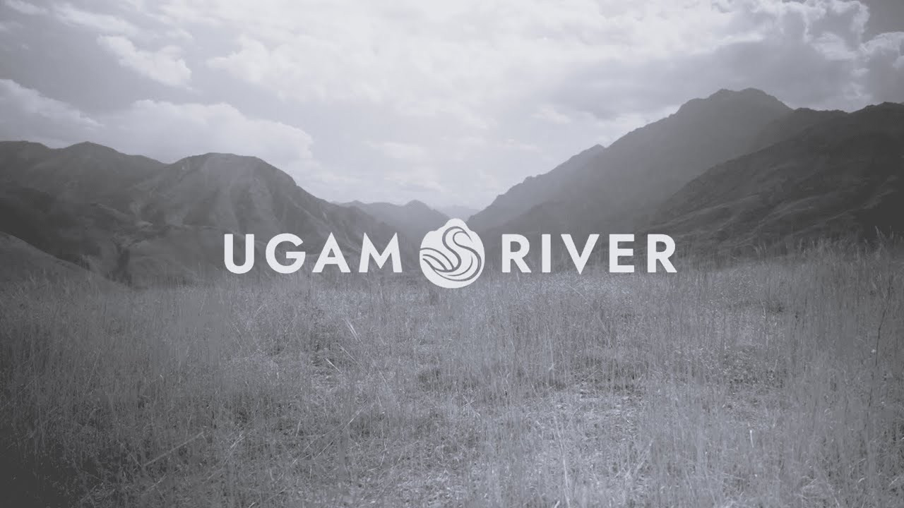 Коммерческие видео. Яркие моменты, запечатленные в каждом кадре