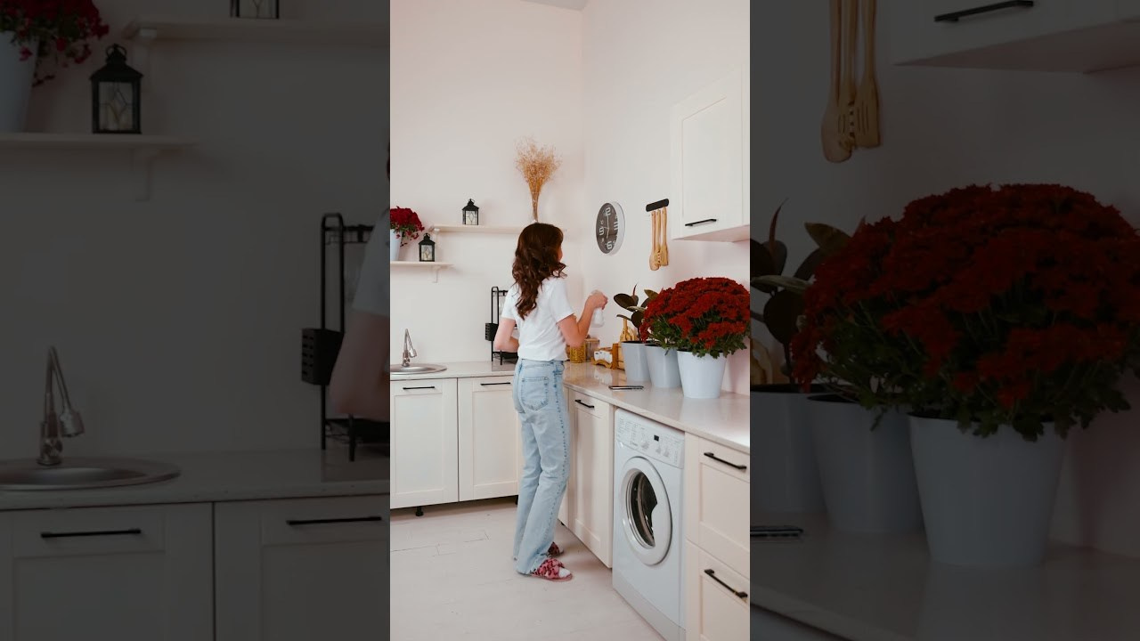 Рилсы. Яркие моменты, запечатленные в каждом кадре